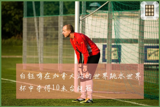 白钰鸣在加拿大站的世界跳水世界杯中夺得10米台桂冠