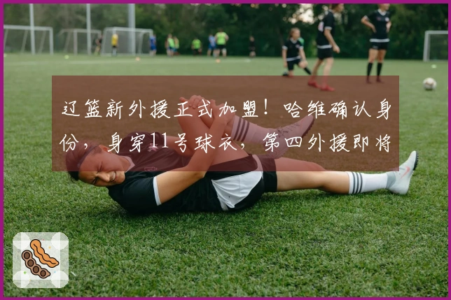 辽篮新外援正式加盟！哈维确认身份，身穿11号球衣，第四外援即将到来