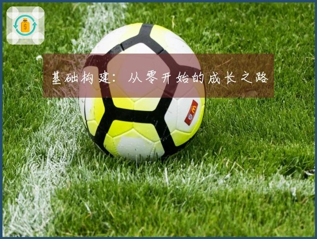 基础构建：从零开始的成长之路