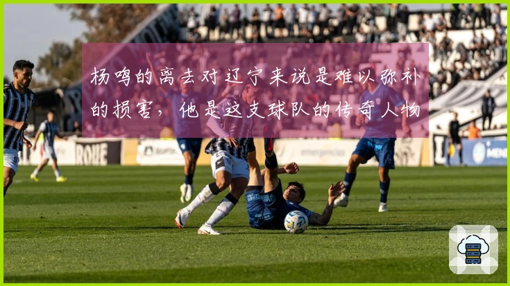 杨鸣的离去对辽宁来说是难以弥补的损害，他是这支球队的传奇人物。